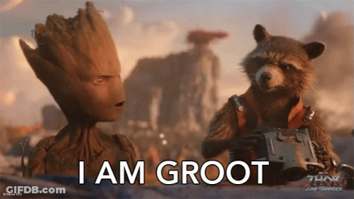 Groot And Rocket From Thor The Dark World GIF