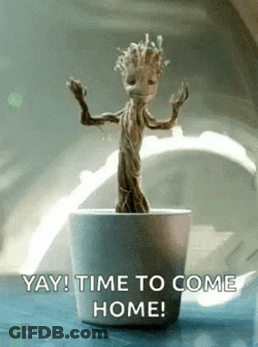 Groot Dancing In A Pot GIF