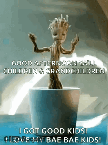 Groot Dancing In Pot Saying Good Afternoon Y'all Children & Grandchildren GIF