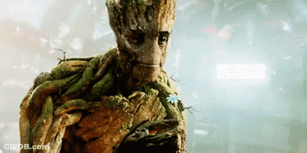 Groot Giving Flower GIF