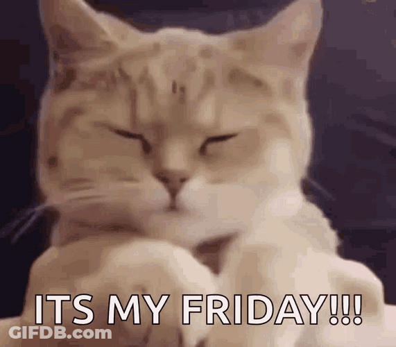 Groovy Cute Cat Dance GIF