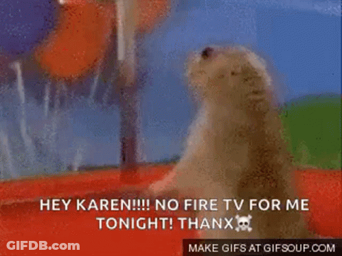 Ground Squirrel: Hey Karen No Fire TV Tonight GIF