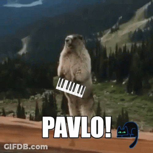 Ground Squirrel Holding Piano Keyboard Pavlo GIF