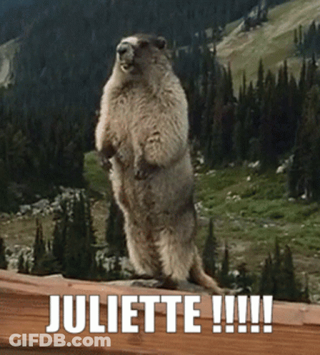 Ground Squirrel On Hind Legs With Juliette Written In White GIF