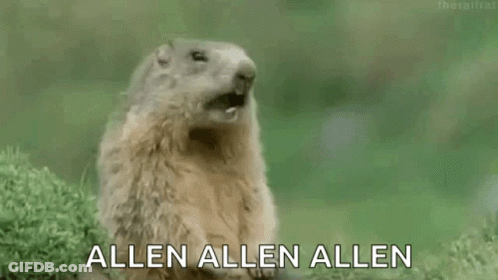 Ground Squirrel Saying Allen Allen Allen GIF