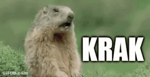 Ground Squirrel Sitting In Grass Mouth Open Saying Krak GIF