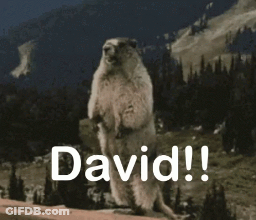 Ground Squirrel Standing On Hind Legs David GIF