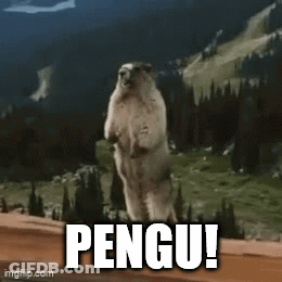 Ground Squirrel Standing On Hind Legs Hola! GIF