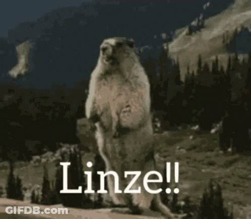 Ground Squirrel Standing On Hind Legs Lenze GIF