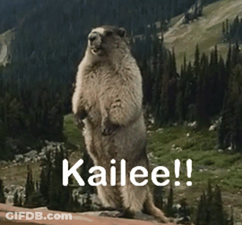 Ground Squirrel Standing On Hind Legs Saying Kailee GIF