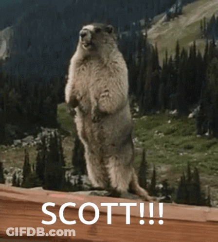 Ground Squirrel Standing On Hind Legs Saying Scott GIF