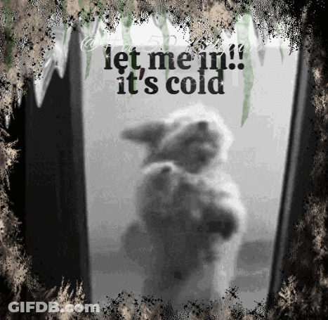 Ground Squirrel Standing On Hind Legs Saying Wally GIF