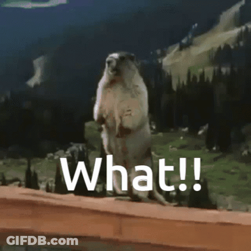Ground Squirrel Standing On Hind Legs Saying What GIF
