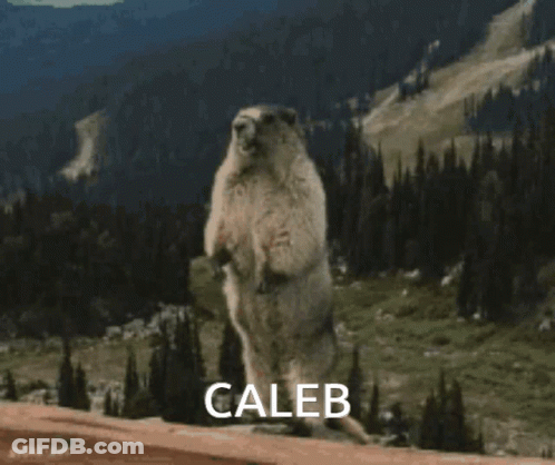 Ground Squirrel Standing On Hind Legs With Caleb GIF