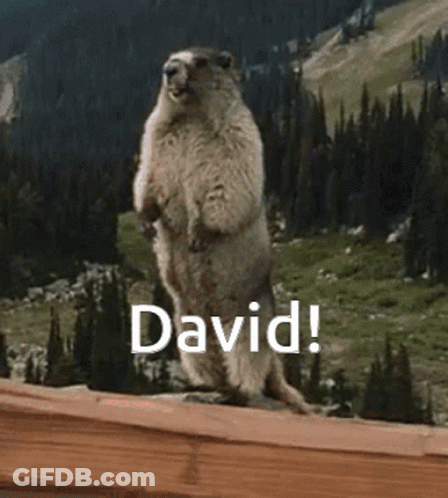 Ground Squirrel Standing On Hind Legs With David GIF