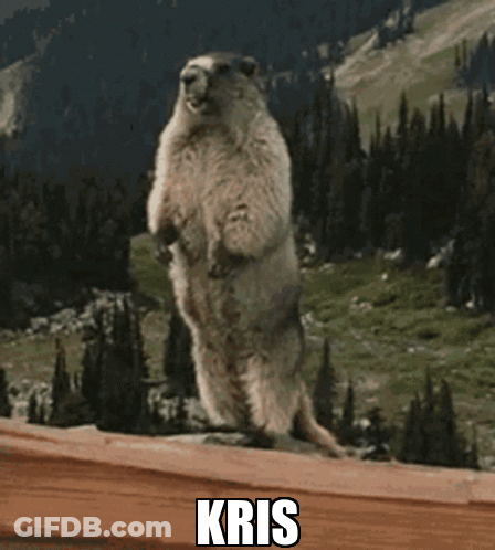 Ground Squirrel Standing On Hind Legs With Kris GIF