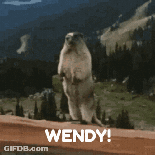 Ground Squirrel Standing On Hind Legs With Wendy GIF