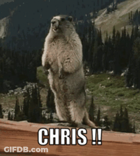 Ground Squirrel Standing With Chris GIF