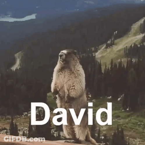 Ground Squirrel Standing With David GIF