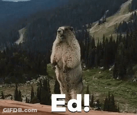Ground Squirrel Standing With Ed GIF