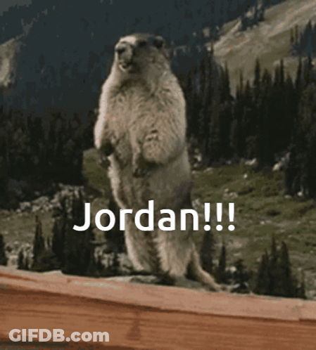 Ground Squirrel Standing With Jordan GIF