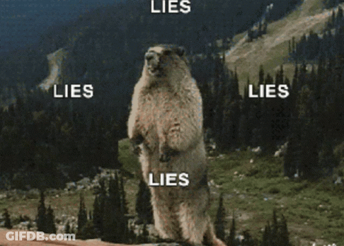 Ground Squirrel Standing With Lies GIF