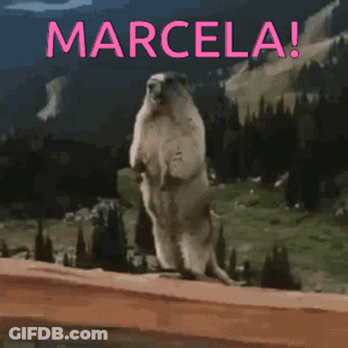 Ground Squirrel Standing With Marcela GIF