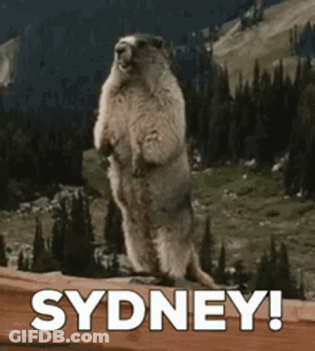 Ground Squirrel Standing With Sydney GIF
