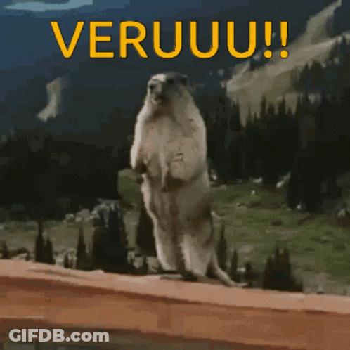 Ground Squirrel Standing With Veruuu GIF