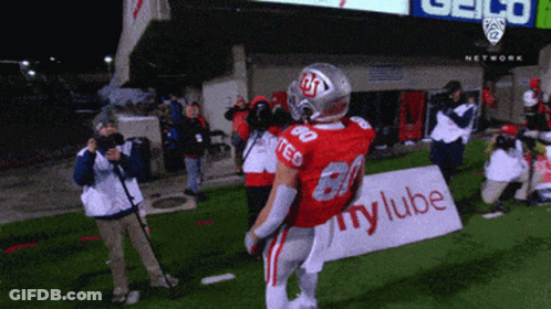 Ground Squirrel Standing With Veruuu Above GIF