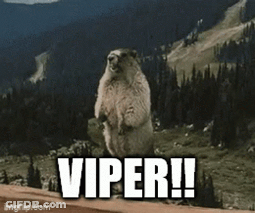 Ground Squirrel Standing With Viper GIF