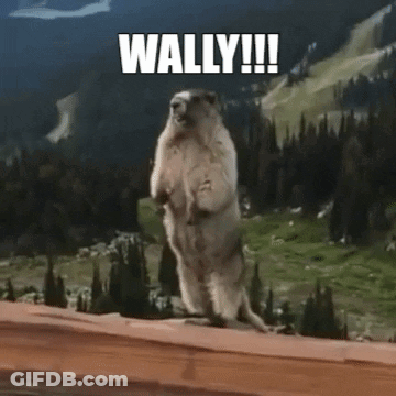 Ground Squirrel Standing With Wally GIF