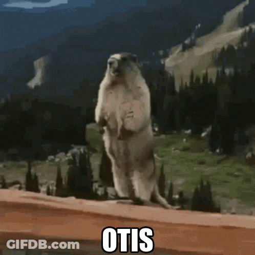 Ground Squirrel Standing With Word Otis GIF