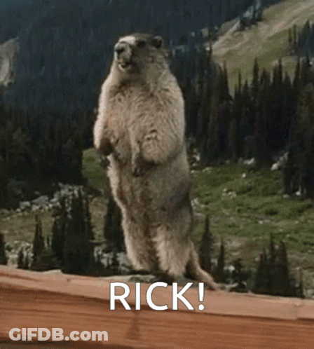 Ground Squirrel Standing With Word Rick GIF