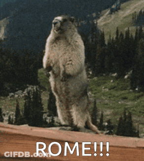 Ground Squirrel Standing With Word Rome GIF