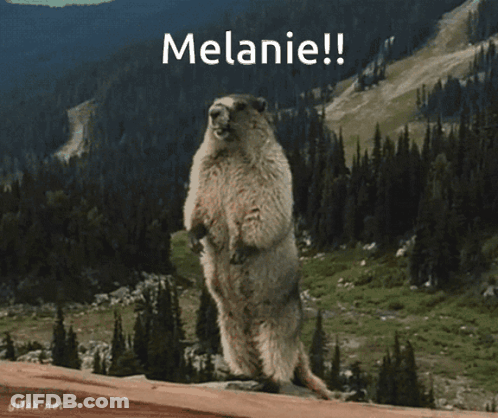 Ground Squirrel With Words Melanie GIF