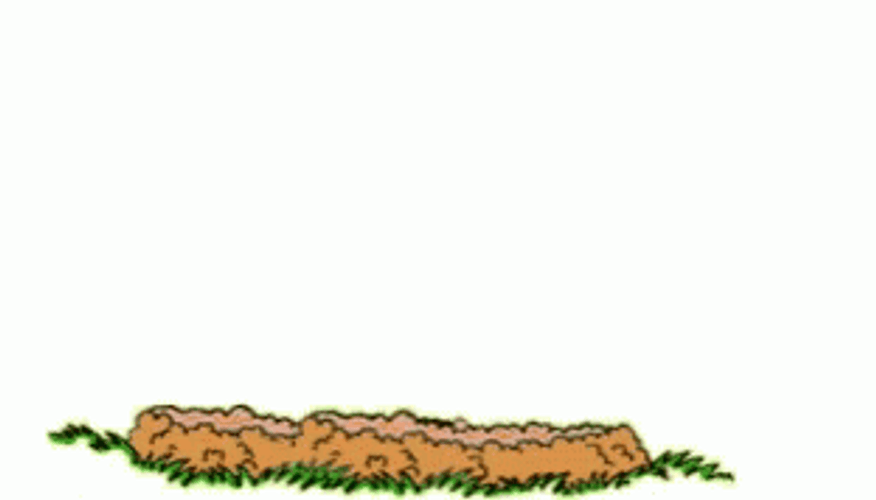 Ground Squirrels Have A Great Day GIF