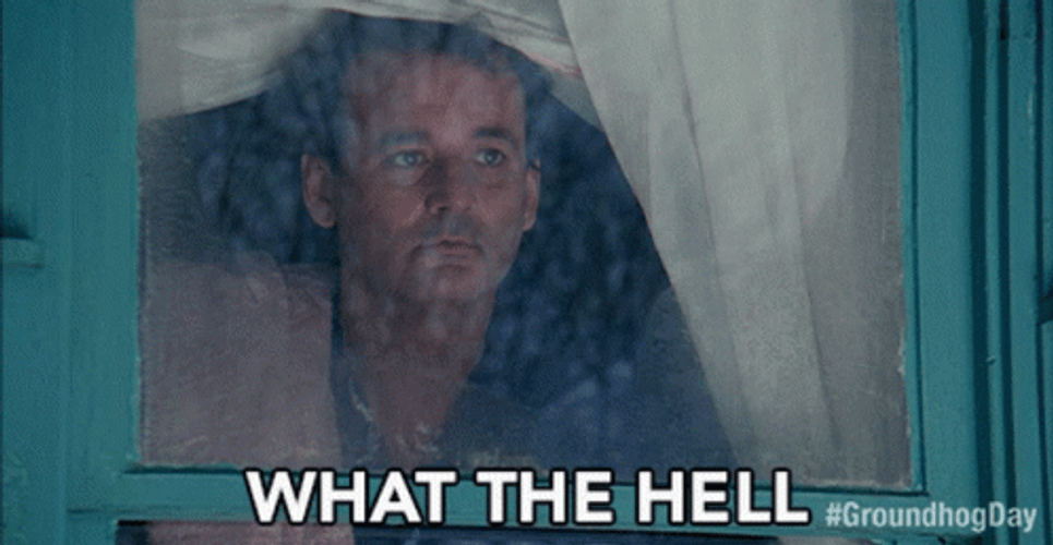 Groundhog Day Bill Murray Confused GIF