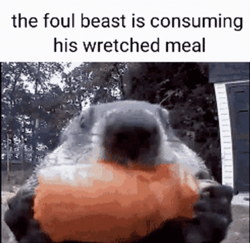 Groundhog Day Grazing On Sweet Potato GIF