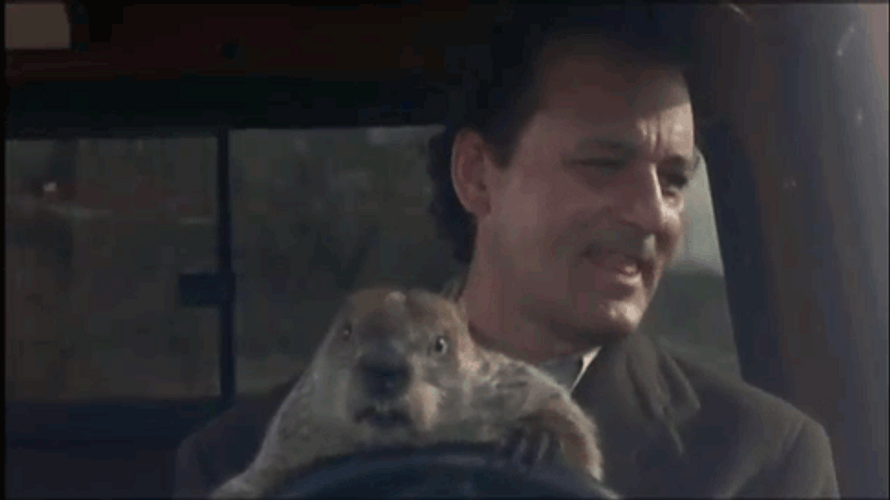 Groundhog Day Letting The Groundhog Drive GIF
