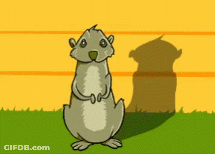 Groundhog Day Shadow Animated GIF