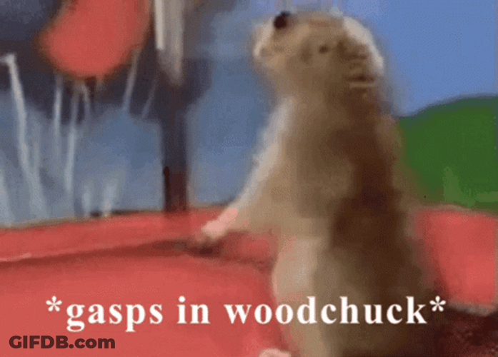 Groundhog Gasps In Woodchuck GIF
