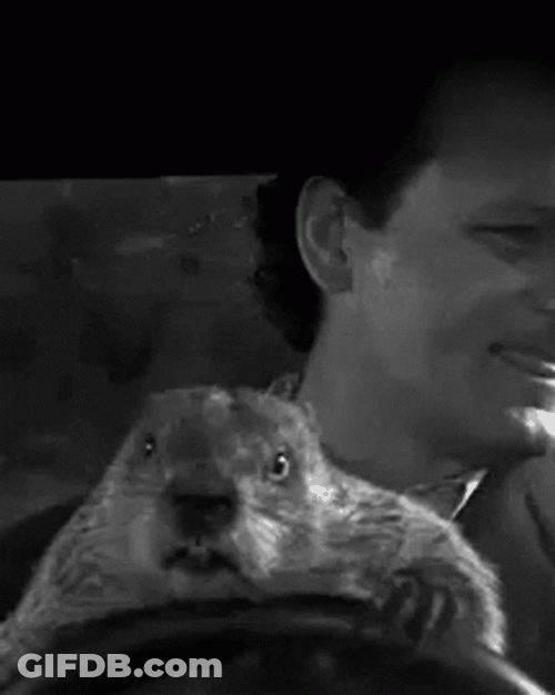 Groundhog Gopher And Boss Enjoy Ride GIF