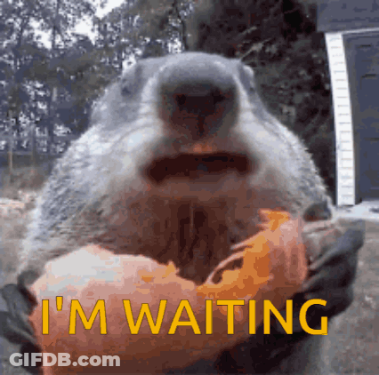 Groundhog Holding Donut Waiting GIF