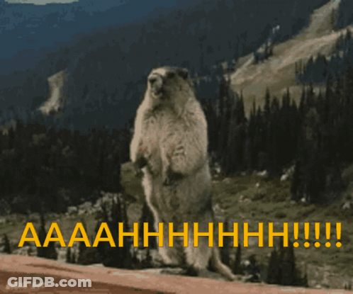 Groundhog On Hind Legs Saying Aaaahhhhhh GIF