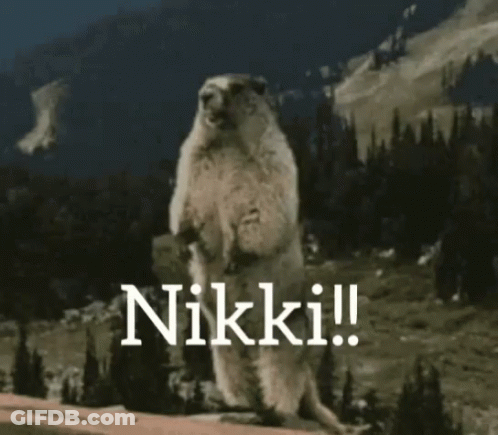 Groundhog On Hind Legs Says Nikki GIF