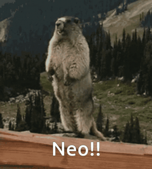 Groundhog Scream Neo GIF