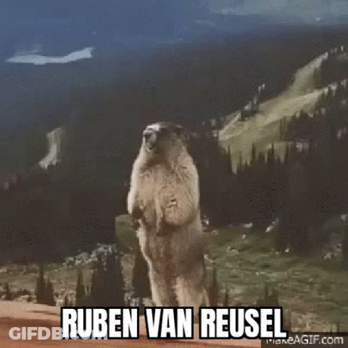 Groundhog Standing In Front Of Mountain Saying Ruben Van Reusel GIF