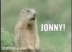 Groundhog Standing In Grass With Jonny GIF