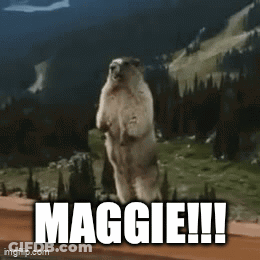 Groundhog Standing On Hind Legs Maggie GIF